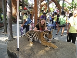 Me and a Tiger